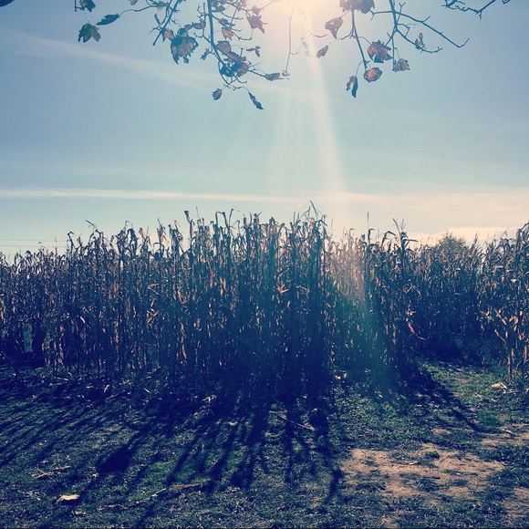 Meet your Posher, Shirley - Picture 1 of 1